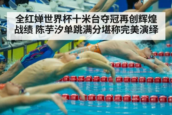 全红婵世界杯十米台夺冠再创辉煌战绩 陈芋汐单跳满分堪称完美演绎